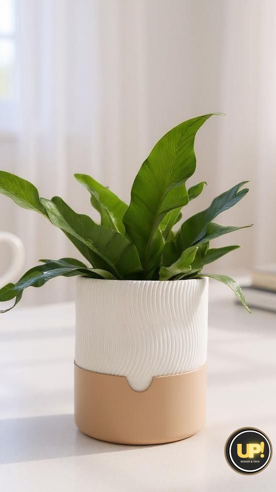 Minimalist Two Piece Ribbed Planter Set
