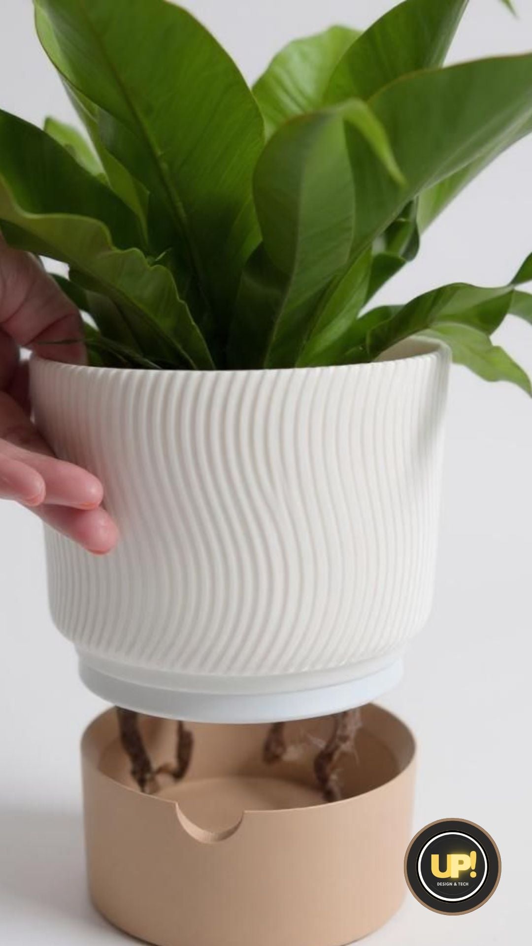 Minimalist Two Piece Ribbed Planter Set