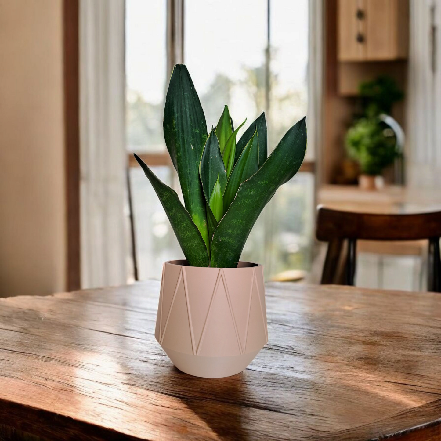 GeoBloom Planter set of 2