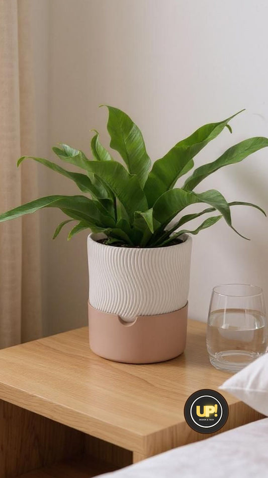 Minimalist  Two Piece Ribbed Planter Set