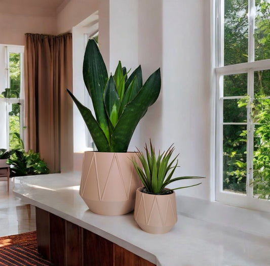 GeoBloom Planter set of 2