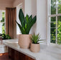 GeoBloom Planter set of 2